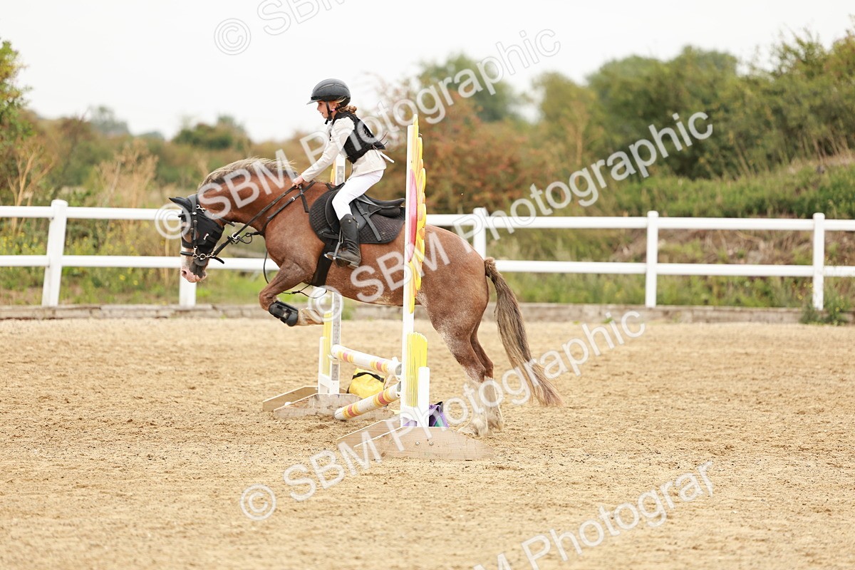 SBM_007281 - Class 2 - 50cm