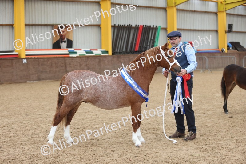 20251109-0702 - Championship