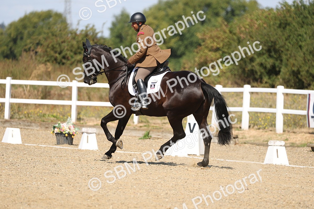 SBM_013641 - Class 1 - P5 Bronze 10.38.12.02
