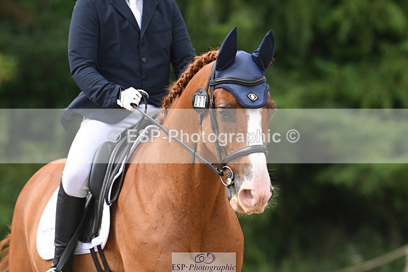 250720A-101536-09479 - 071-Jesse.Poyntz-Wright-Knockaderry.Jack