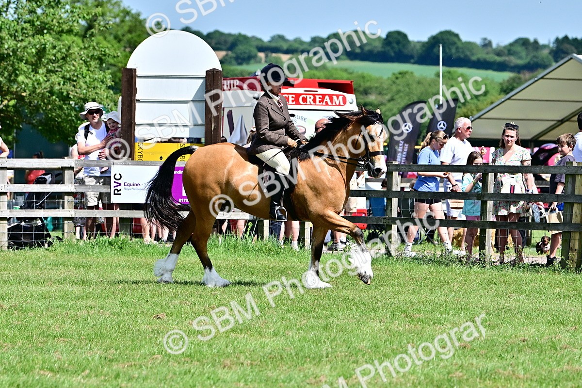 SBM_08008 - Class 61-62 - TSR  M&M Ridden Amateur of the Year