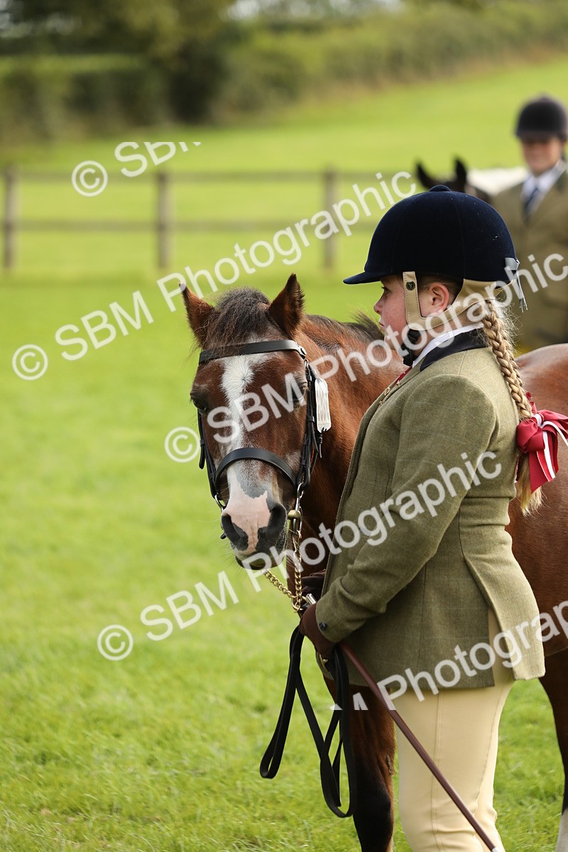 SBM_68708 - S40 - Junior Handler 9-12 Years