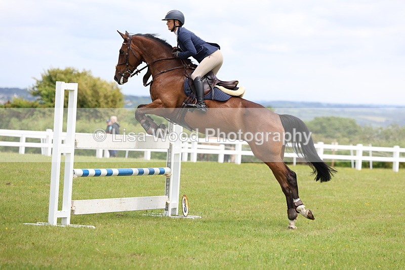 3E7A7120 - Class 12: Senior Foxhunter/1.20 open