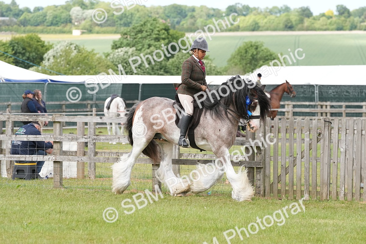 SBM_17645 - Class 107-108 - LIHS BSPS Performance Coloured Horse Pony