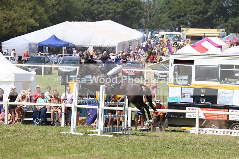 3E7A3383 - Class 10: Senior Foxhunter/1.20 open