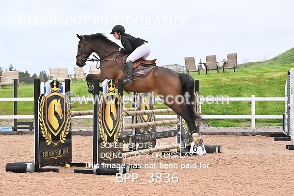BPP_3836 - CLASS 16 SUN Senior Newcomers/1.10m Open