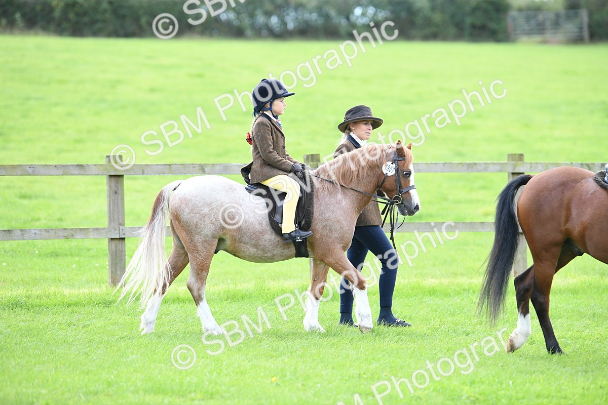 SBM_42426 - S20 - Lead Rein Mountain & Moorland Pony