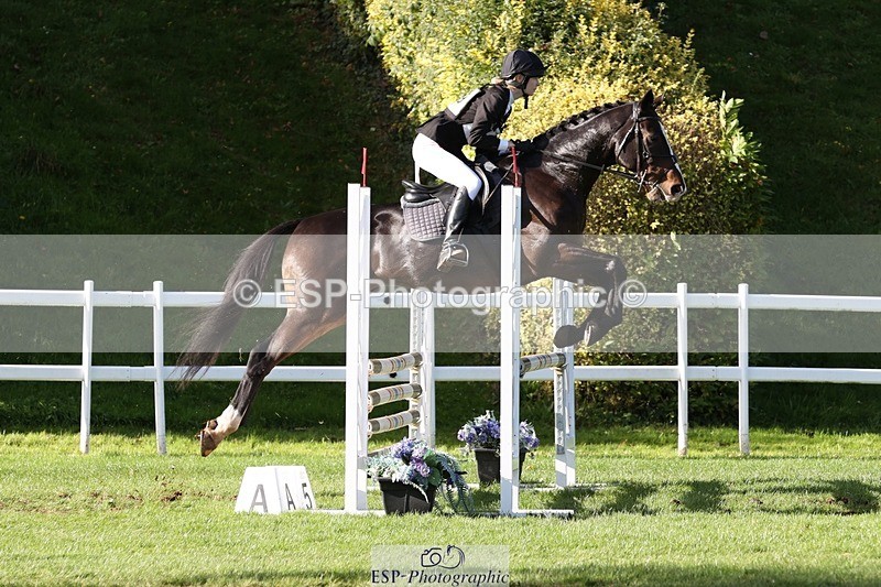 231022-145617-29528 - 489-MY.GALWAY.MAN-Daisy.Hood-TrotUp+SJ