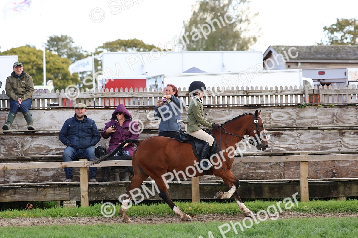 SBM_47654 - S28 - Veteran Ridden