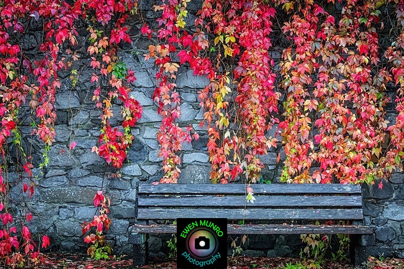 GL-03-Oban, Argyll - 'GLOW' - Colour