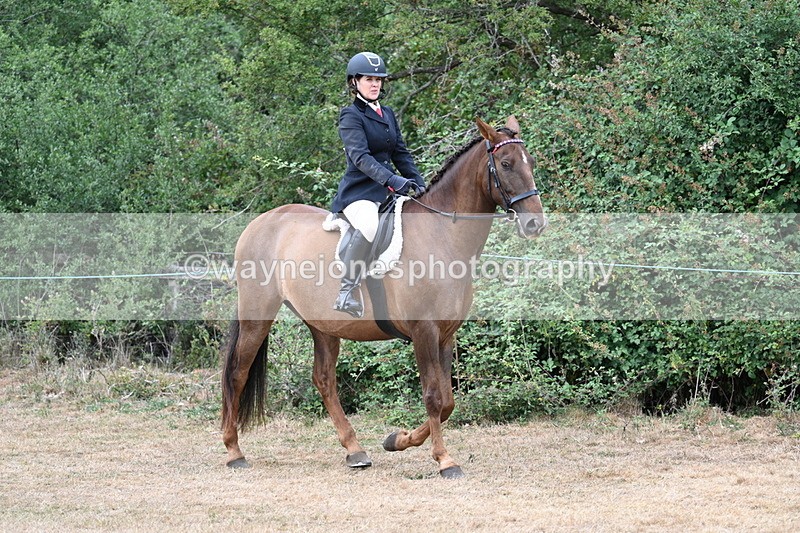 WJ7_0759 - Class 7 Riding Club Show Horse