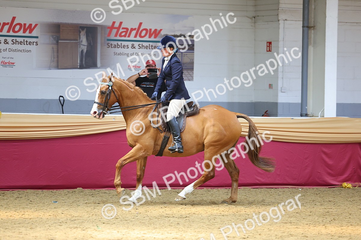 SBM_24140 - Class 905 - Supreme Final - Ridden Veteran
