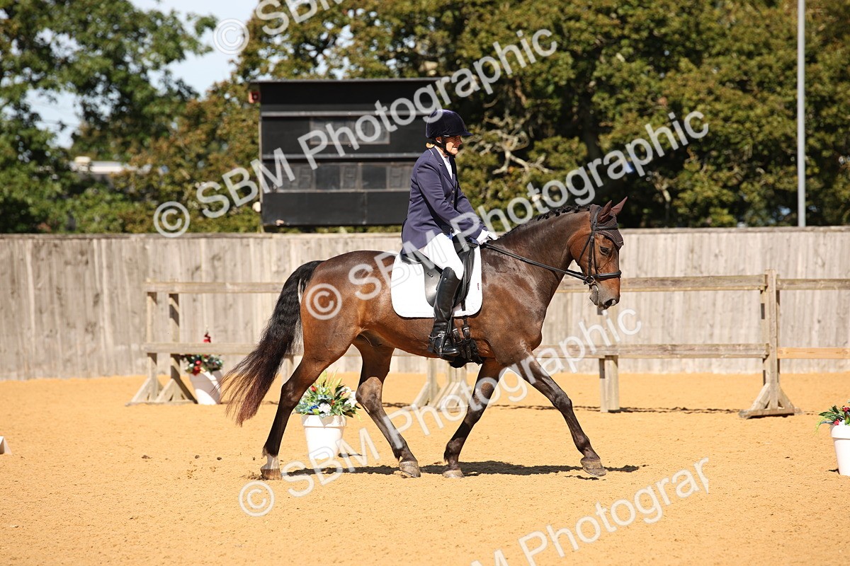 SBM_21614 - D5 - Small Tour Championship - Intro C