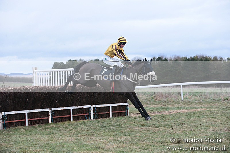 PtP 230119 156 - Royal Artillery Point-to-Point  - Larkhill  - 26/01/19