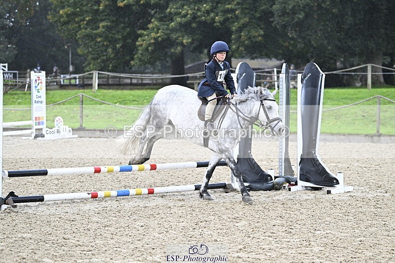 251005A-084633-02833 - Cls 02 GR 50cm