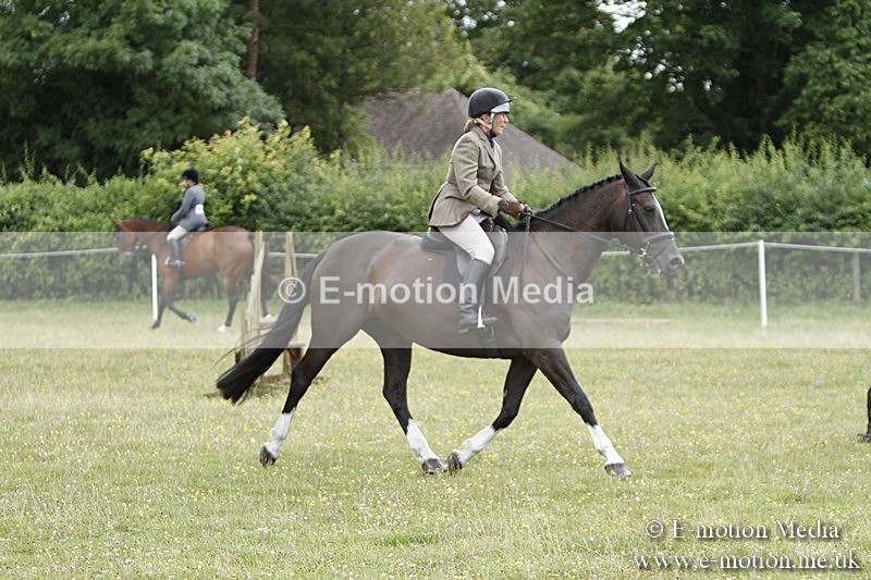 BVR160717-1784 - Ring 3 BVRC Show 16/07/17