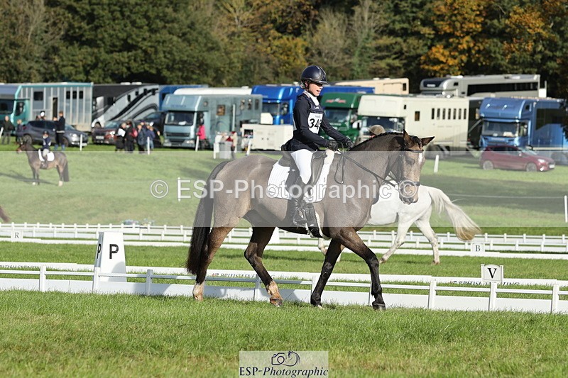 251024A-102815-07765 - D-345-Neve.Webber