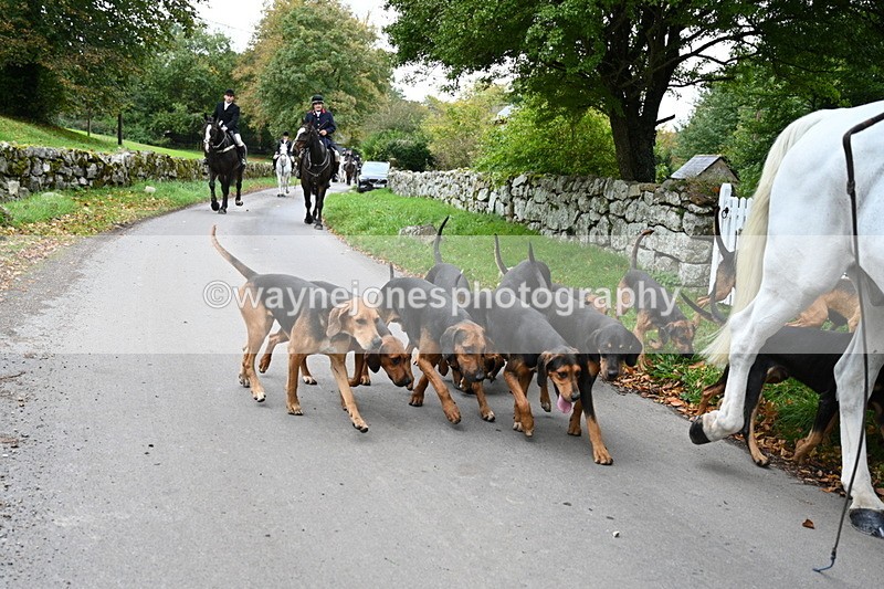 WJ7_3125 - Camera 1 Road