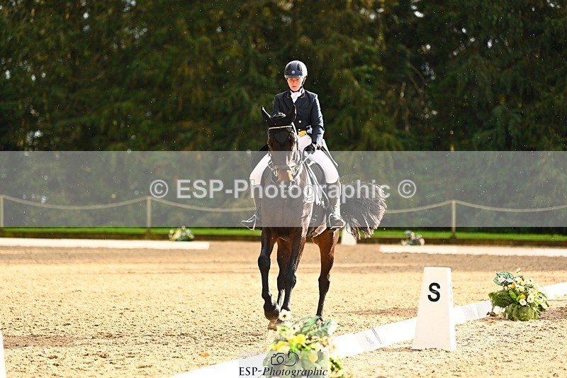 231021-153534-20895 - 259-BOSTON.IV-Rosie.Thomson-DR