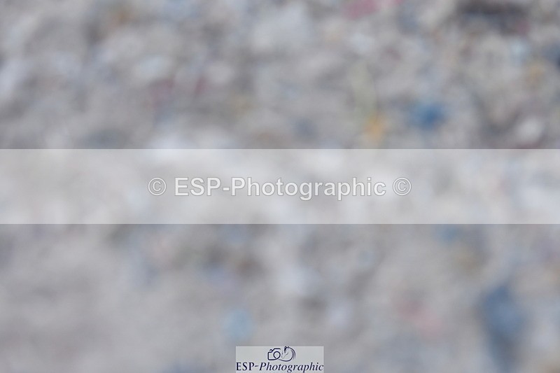 230520A-143147-01517 - Cls 7 Novice 34