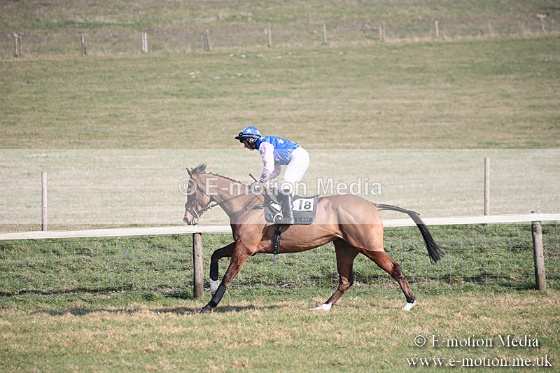 PtP 230219 174 - Vine & Craven Point-To-Point - Barbury 23/02/19
