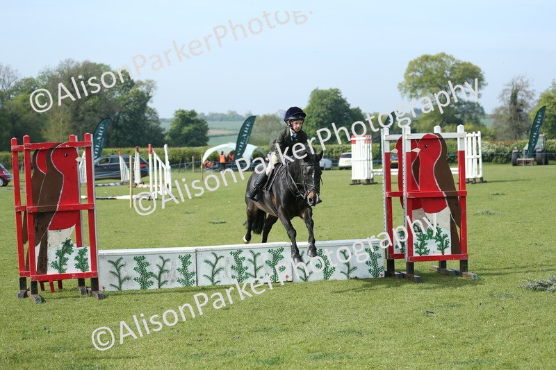20260426-0208 - Class 13 - Rookie Jumping 50cm