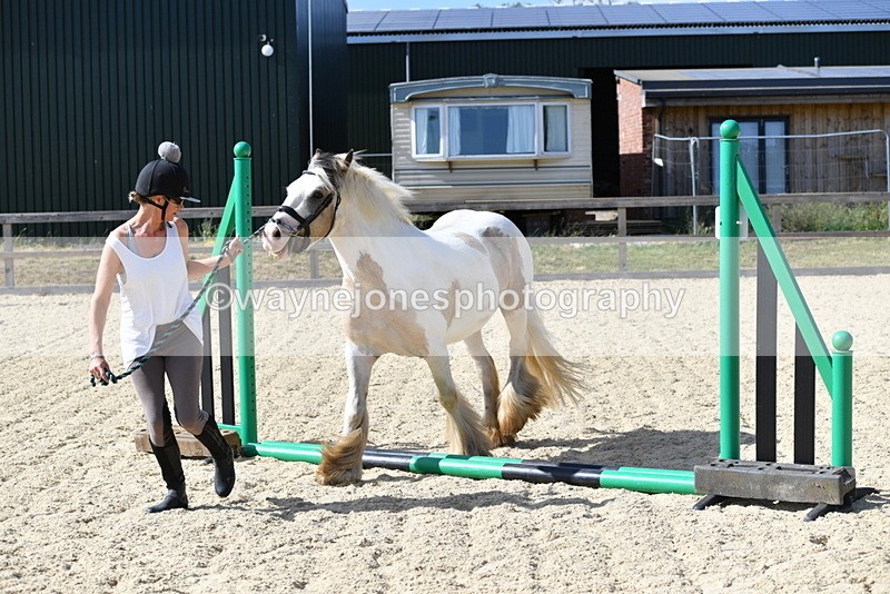 WJ5_5454 - Poles on the Floor