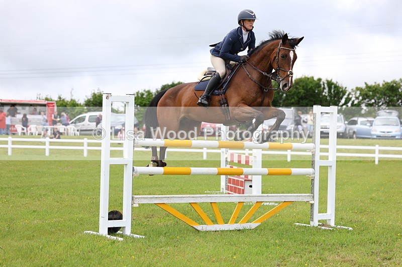 3E7A7125 - Class 12: Senior Foxhunter/1.20 open