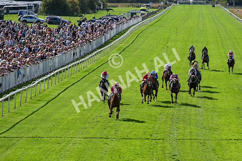 050926-Race 3-Dontlookanyfurther-3474 - Race 3 2.40pm British Stallion Studs EBF Restricted Novice Stakes