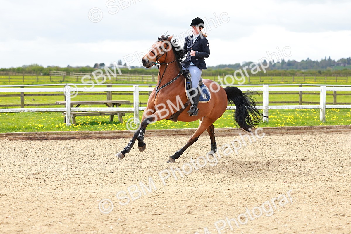SBM_002343 - Class 10 - Senior Newcomers - 1.10m