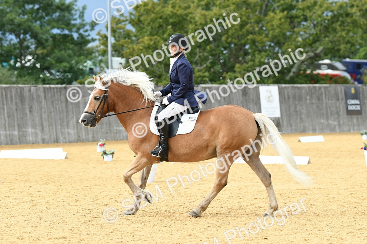 SBM_10920 - D28 Elementary Taster Elementary 42