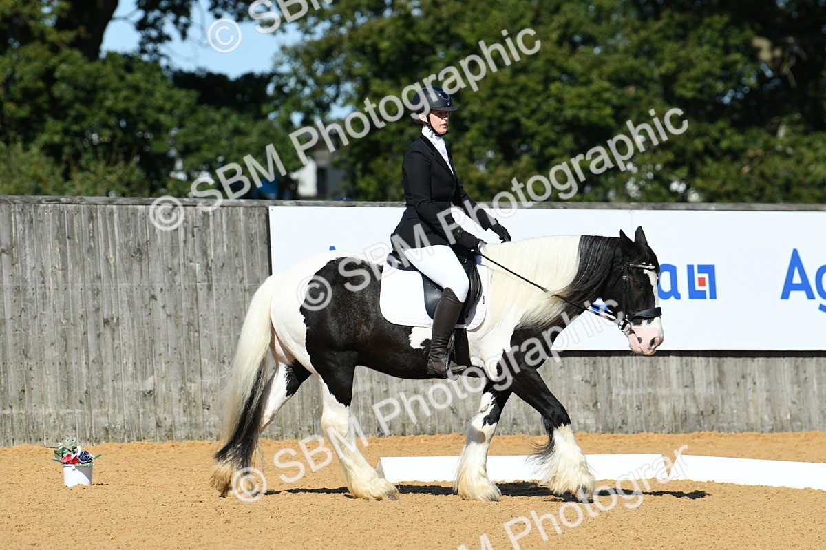 SBM_18221 - D4 - Small Tour Championship - Intro B