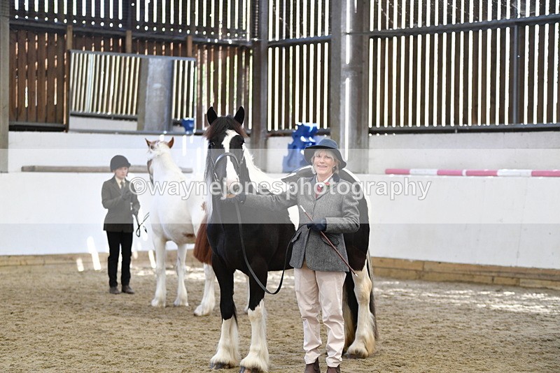 WJ5_5114 - Class 7 In hand coloured / odd coloured