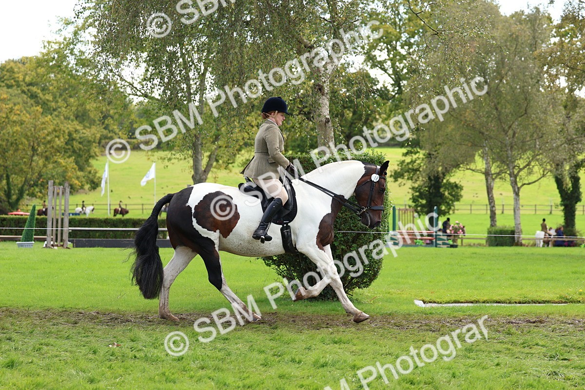 SBM_45222 - S27 - Young Veteran Ridden