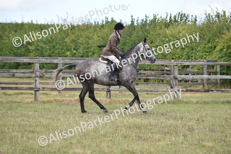 20250831-4149 - Class 13 - Working Hunter Horse or Pony