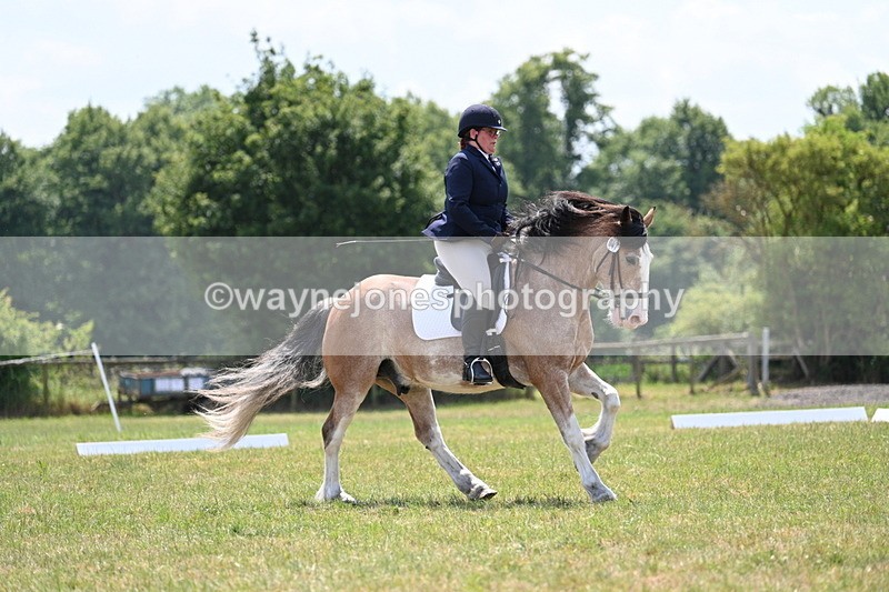 WJ7_8275 - Time 13:35 to 13:40