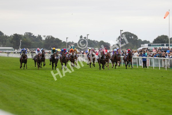 210824-Race 5-Extensio-7381 - Race 5 4.10pm Sky Bet Stayers Handicap
