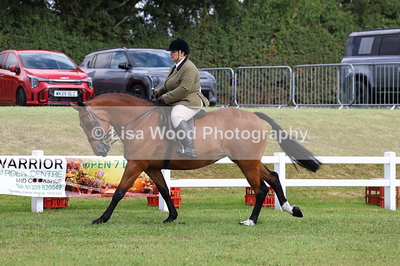 3E7A9339 - Class 4: Rising Star M/H Hunter