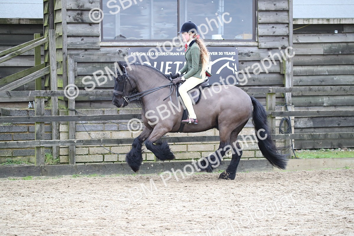 SBM_006151 - Class 10-13 - RIHS Small Large Breeds