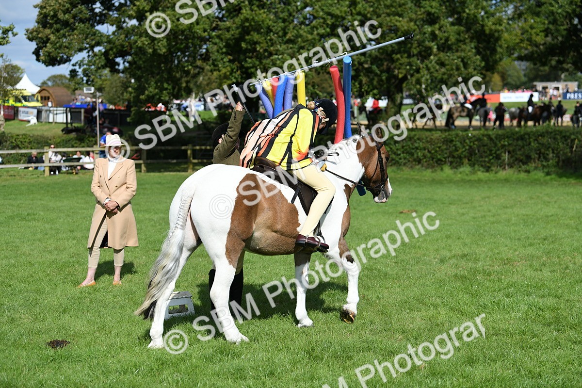 SBM_47121 - S12 - Family Horse & Pony