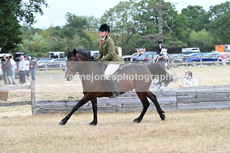 WJ7_0637 - Class 6 Ridden Mountain and Moorland