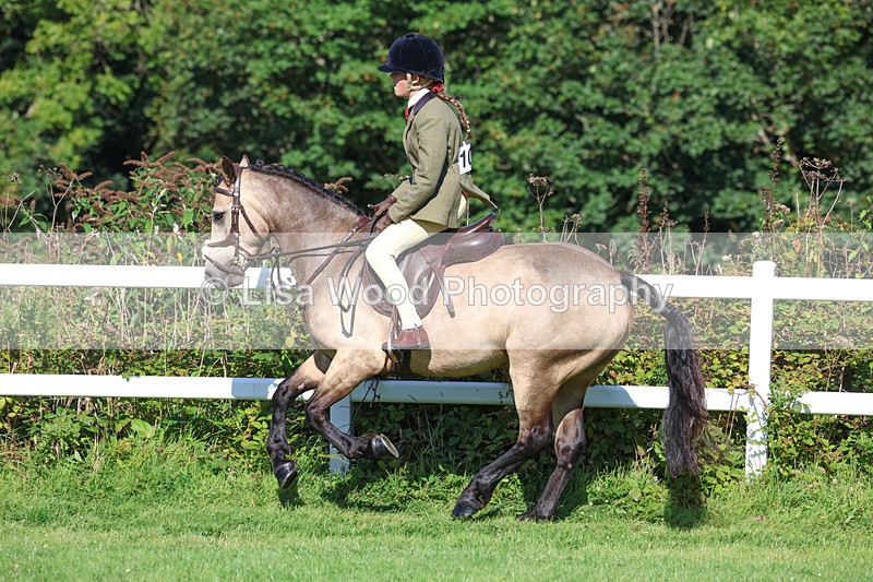 3E7A7870 - Class 2: Open Working Hunter pony