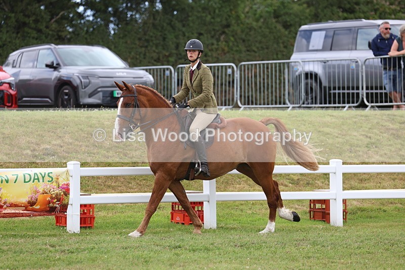 3E7A1468 - Class 9: Open Hunter