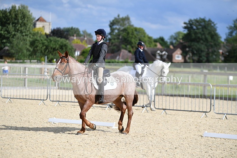 WJ5_7959 - Time 16:56 to 17:14