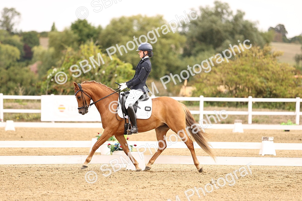 SBM_011701 - Class 1 - Medium 5