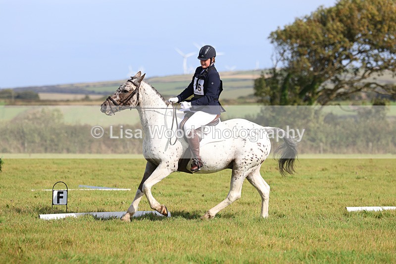3E7A6050 - Class 1: Trebudannon Open: Dressage (Part 2)