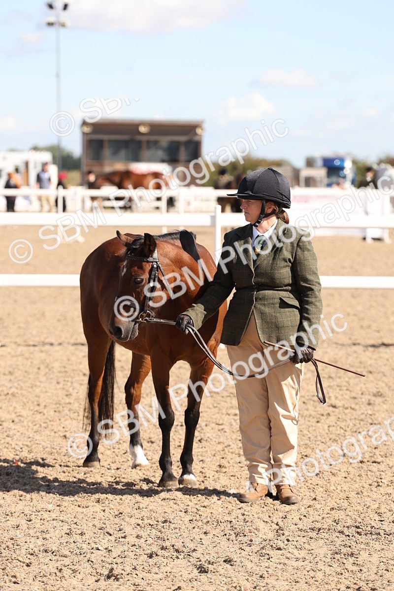 SBM_14083 - Class 207 - IH M&M