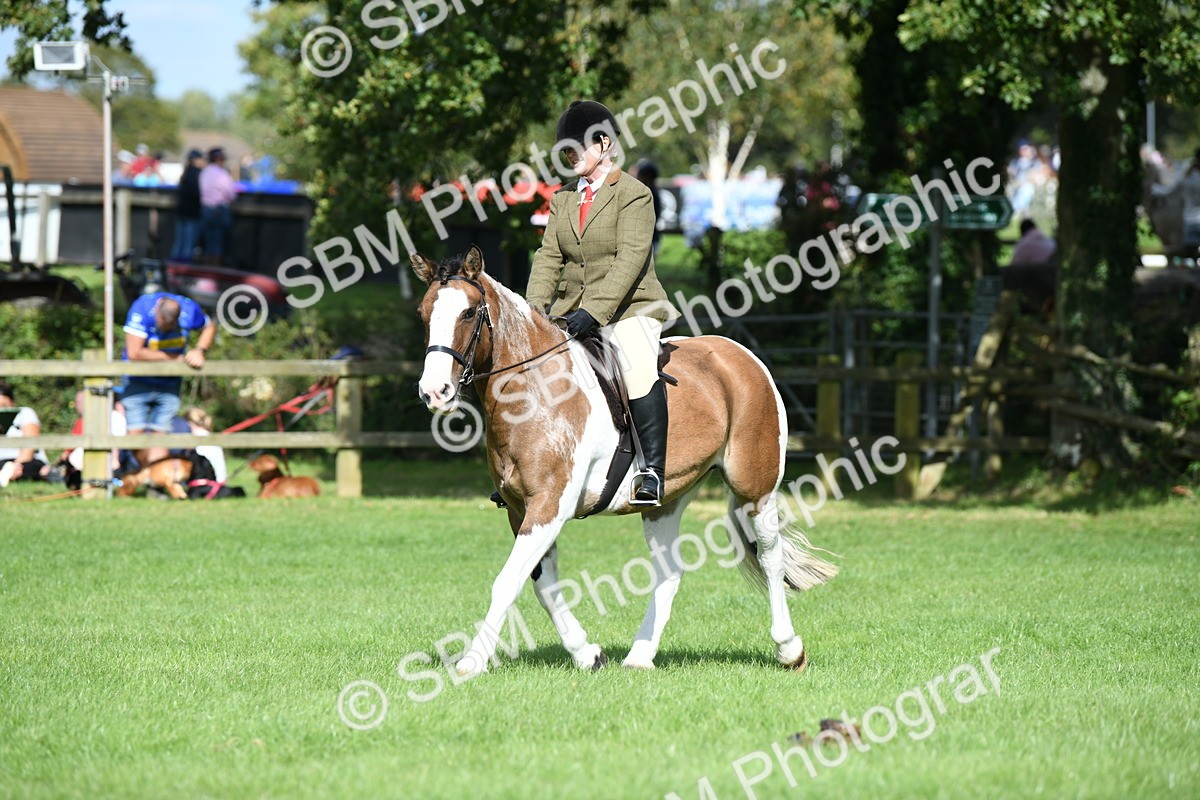 SBM_47137 - S12 - Family Horse & Pony