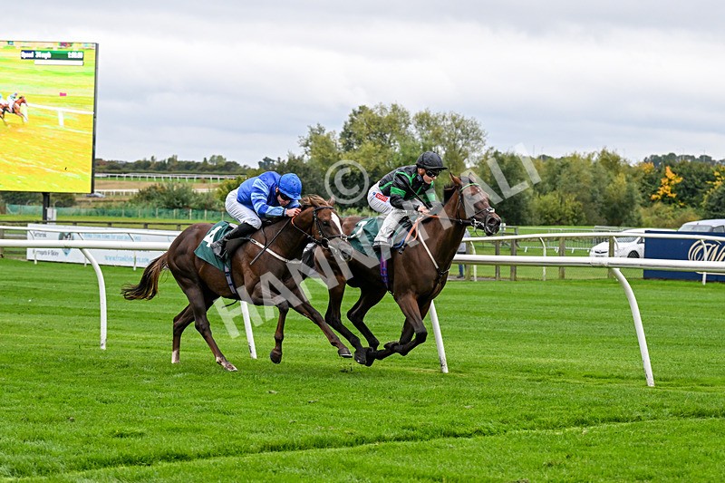 011025-Race 2-Campenaerts-0168 - Race 2