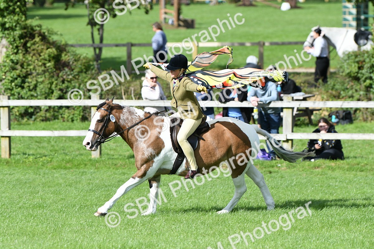 SBM_47113 - S12 - Family Horse & Pony